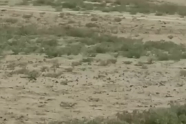 ПЕРВАЯ БЕРЕГОВАЯ ЛИНИЯ