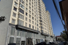 1-к кв. Дагестан, Махачкала просп. Гамидова, 2 (56.0 м²)